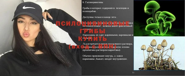 бошки Белоозёрский