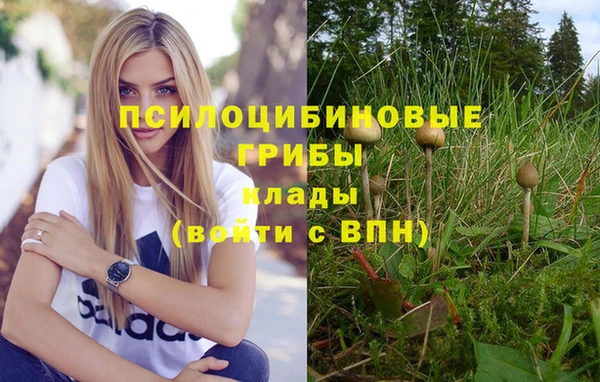 бошки Белоозёрский
