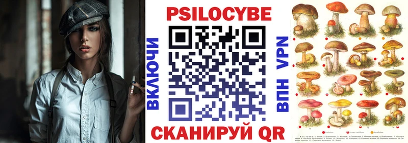 площадка Telegram  Вельск  Галлюциногенные грибы Psilocybine cubensis  купить  цена 