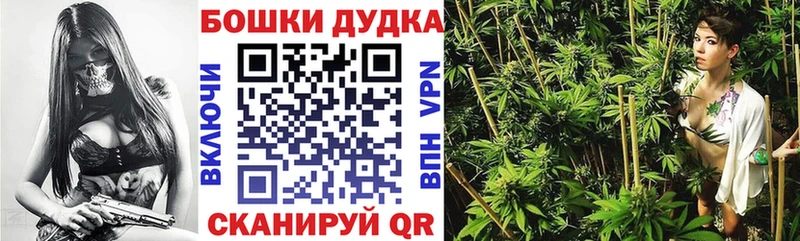 как найти наркотики  Вельск  Канабис план 
